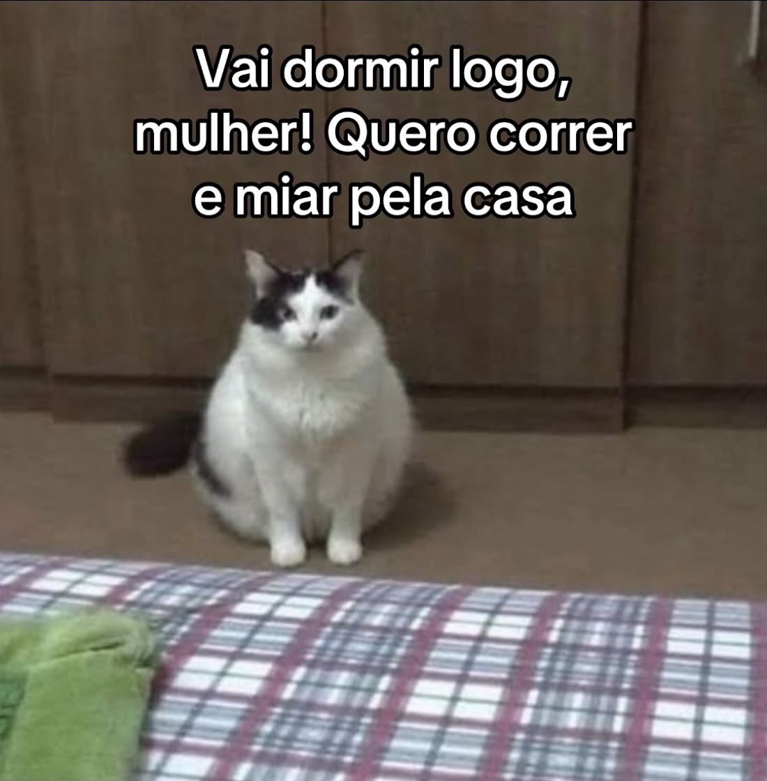 gatinarios's tweet photo. https://t.co/rWIMaTd4Y0