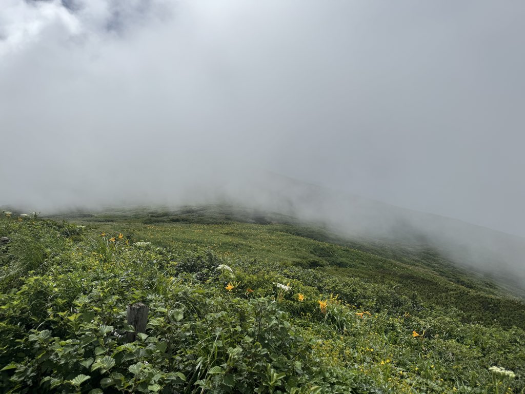 ichinoseayaka's tweet photo. 7人で秋田駒ヶ岳へ登山しに行ってきました⛰️高山植物のコマクサなどもバッチリ見た！
そして、歴史ある秘湯、乳頭温泉にもたくさん入ってきました♨️妙乃湯の宿に泊まって、鶴の湯も日帰りで堪能♪妙乃湯の混浴(タオル着用可)がたまたま空いてたので、混浴も仲間内だけで堪能できました♪ https://t.co/LomwwIwEeI