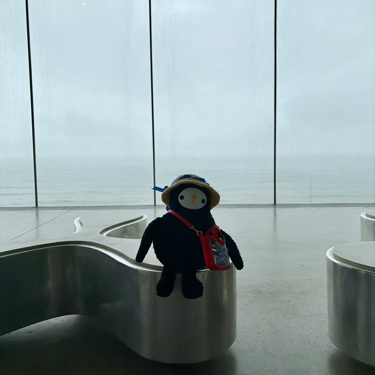 jozurusan's tweet photo. 今日は担当さんの付き添いで日立市に行ってきたよ～!
日立駅の太平洋の大パノラマが一望できたよ🪼
雨の日のお出かけも楽しすぎ～ https://t.co/gCt7IsdxWh