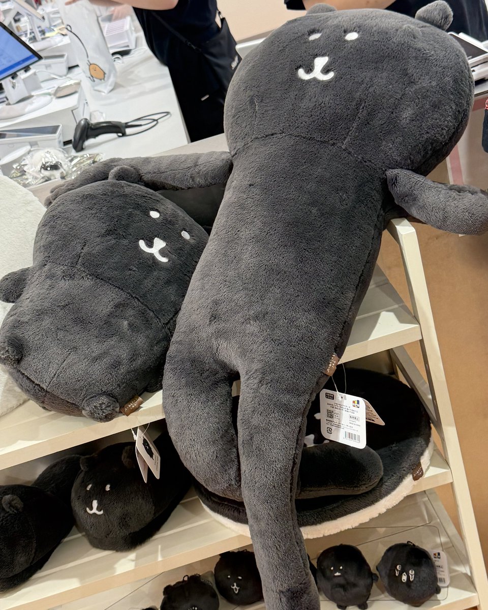 mm_20_aa's tweet photo. 足はね、長ければ長いほどいいんですよ！！！！！！ https://t.co/8jqB7VxGRx