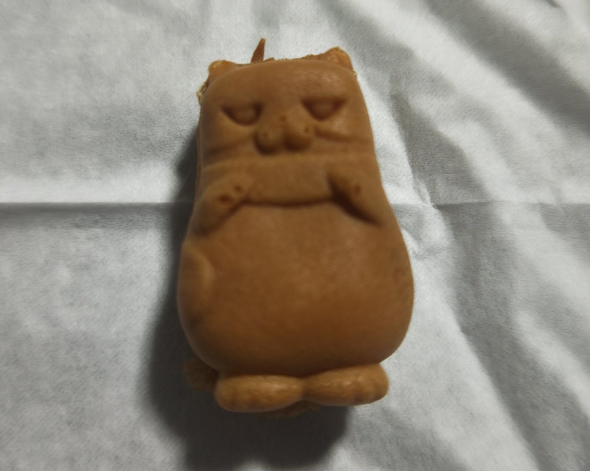 chiipyonn's tweet photo. スイッチオンマンさんと写真撮ってもらいました🎵
にゃんまるのベビーカステラ買って見た😁 https://t.co/JfMXOR1Bbd