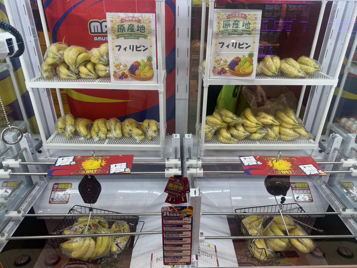 mandai_seinan's tweet photo. 🍎��🥚🥕✨
＼青果キャッチャー開始🎉／
もうチャレンジしましたか？😊
ゲットできる景品は… 🍓新鮮なフルーツ✨ 🥚たまご✨
ゲームを楽しみながら、おいしい景品をGETしよう🎁💕

#遊べるスーパー万代 https://t.co/DDQa1bnbDV