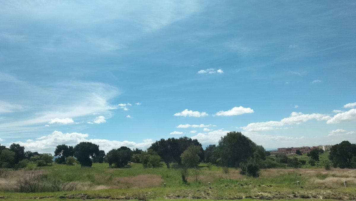 zamonazh78's tweet photo. Siempre es un placer y un espectáculo viajar por carretera! 
🌳🌲🤌🏻
#آئین_شکن_مقدس_گائے 
#viralvídeo 
#EdoMx
#Puebla
#Hidalgo https://t.co/IxHc8bDuBj