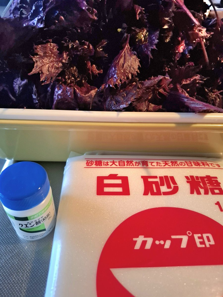 chieyo28's tweet photo. さぁてやるぞ！！！ https://t.co/YOMkHRt8du