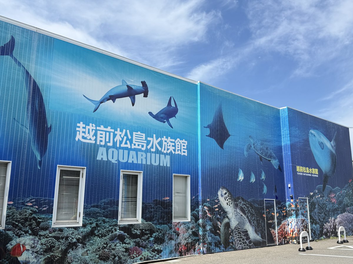 Shishio_Shio's tweet photo. 越前松島水族館初めてきた！
正直展示の種類とか方法はお世辞にも2200円の価値ないけど、とにかく近さと接触系コンテンツの充実がめちゃくちゃ凄い、特に魚入った水槽で遊ぶコンテンツは流石に初めて見た

向いてる:家族連れ、カップル
向いてない:カメラ機材あって水触れない(俺)、独身異常男性(俺) https://t.co/eenW8Y0ijy