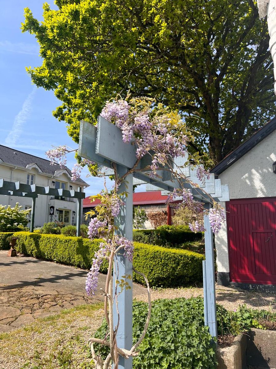 BallyknockenHCS's tweet photo. Looking for a countryside escape for this Summer? 🌿

Did you know we have two beautiful self-catering accommodation options here at Ballyknocken?

To find out more, simply visit our website 👉 https://t.co/uZfCUefXyR 

#SelfCatering https://t.co/6Lj5OO8ebx