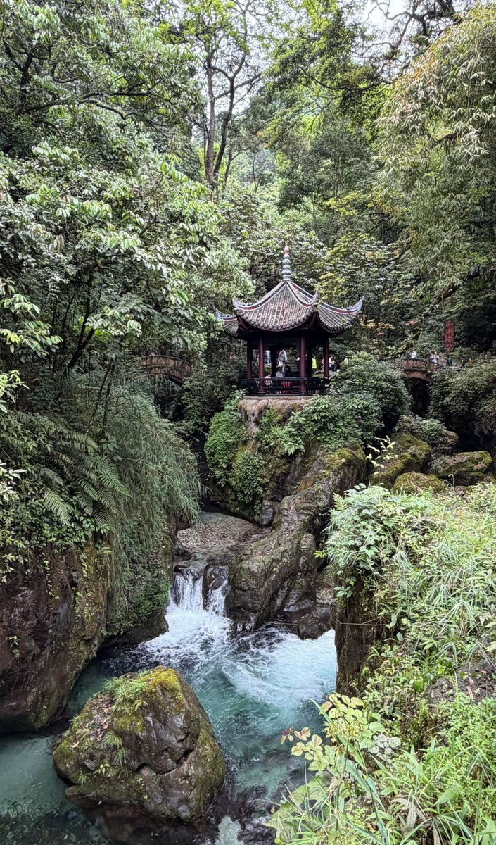 wenxin202's tweet photo. 密林藏古亭，清泉落石涧，偷一捧山林清凉
An ancient pavilion hidden in thick woods, clear springs tumble over rocky valleys, grabbing a handful of mountain coolness. https://t.co/CGROuxiVox