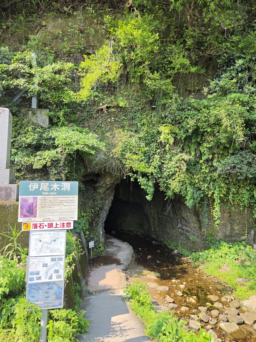 katyth4473's tweet photo. 伊尾木洞
夏のアドベンチャーを気軽に体験出来ますわ
一部だけ橋は架かってますが下手に綺麗に整備せずに現状維持を心がけてるのが凄く良き
エエとこでした😆 https://t.co/FSiqAgNTFI