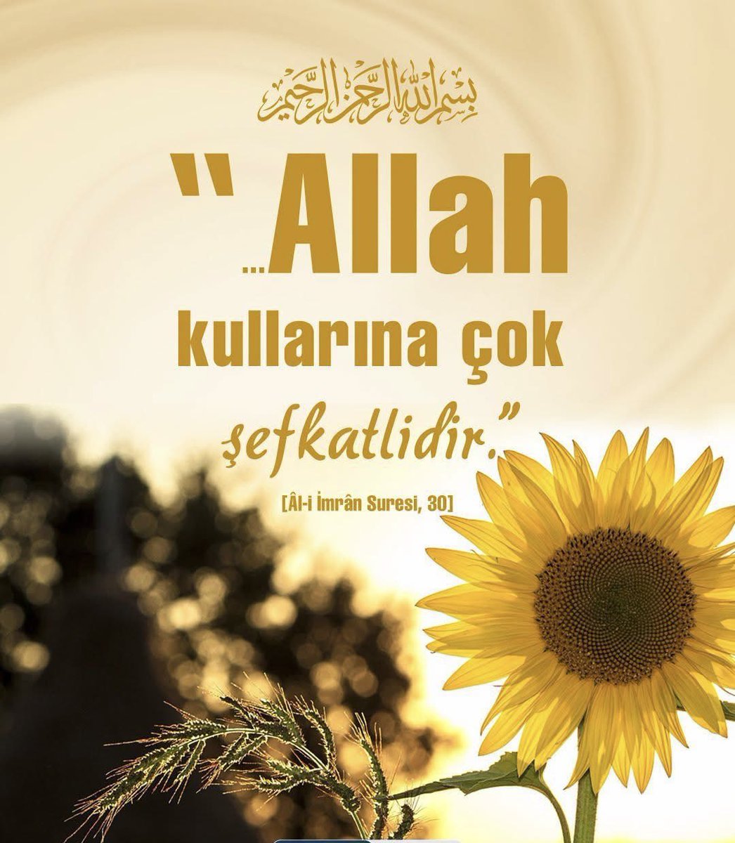 Yusufserdengcti's tweet photo. Elhamdülillah… https://t.co/eM7IZYH2nI