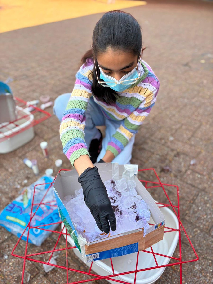 OrielHighSchool's tweet photo. Fabulous pics of the tie-dying group from yesterday. So many new skills learnt, looking forward to see their final outcomes today. ๐๐งถ๐ชก๐งต๐ #Crafting #Creativity #ActivitiesWeek2026 https://t.co/EZsVmVCl81