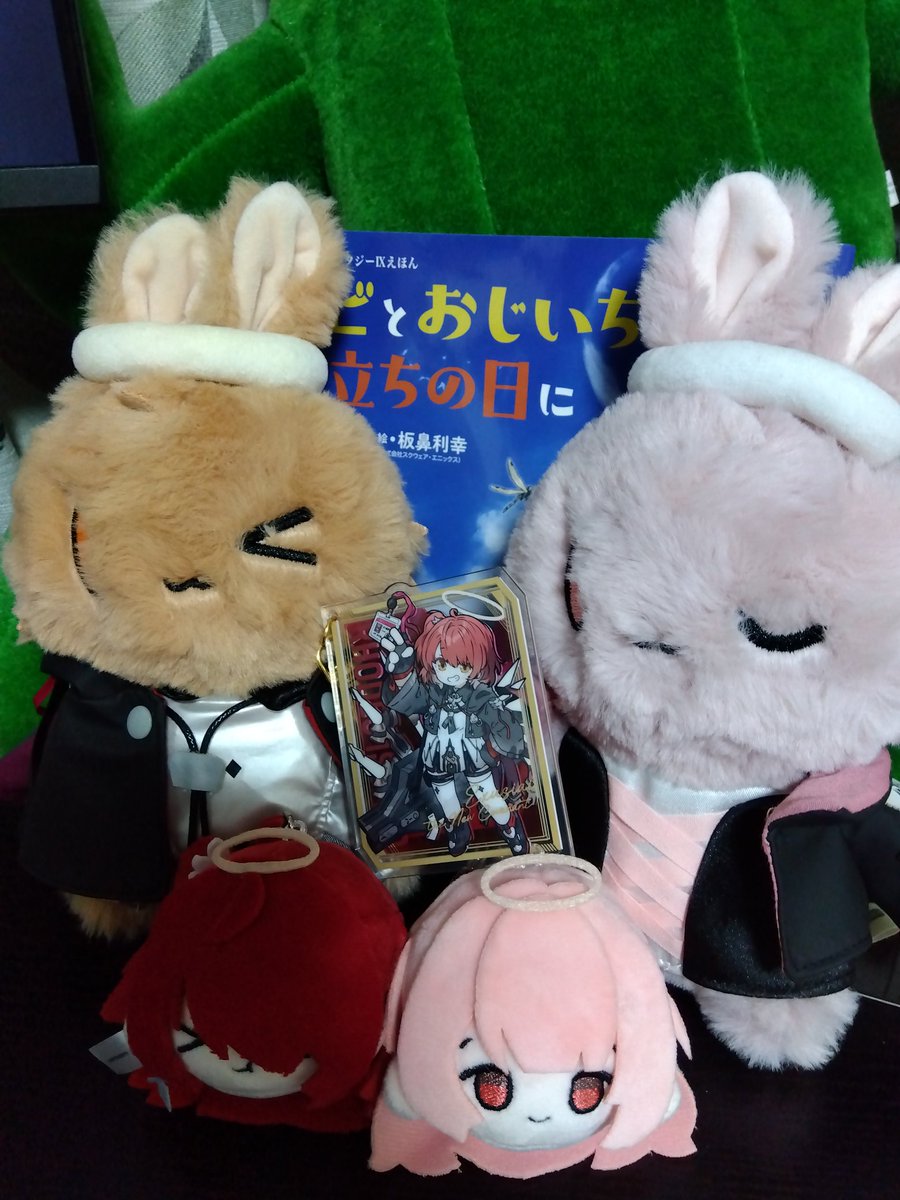 Emera719's tweet photo. 家のレミレミが増えた https://t.co/Y9lfRDlRML