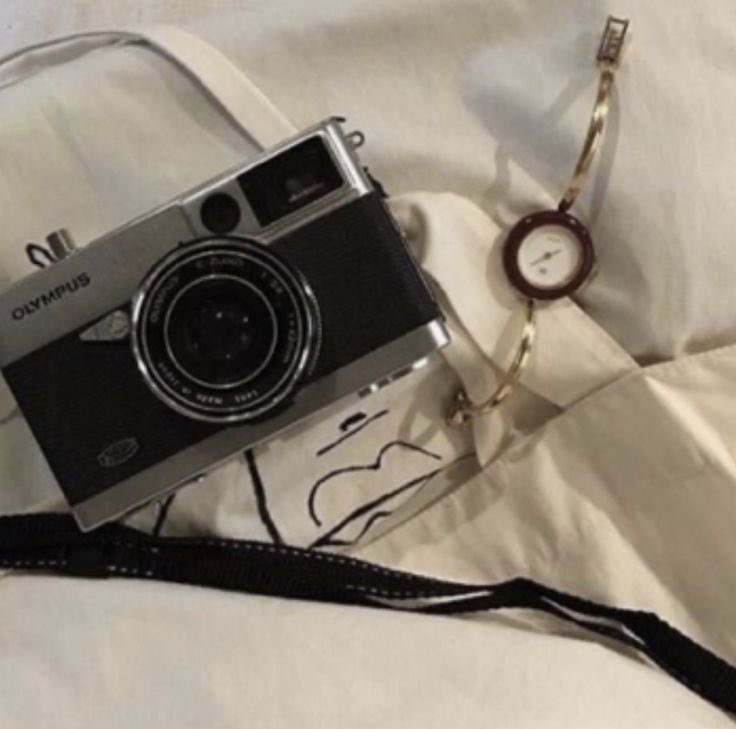 Liv | LF MOOTS tweet media