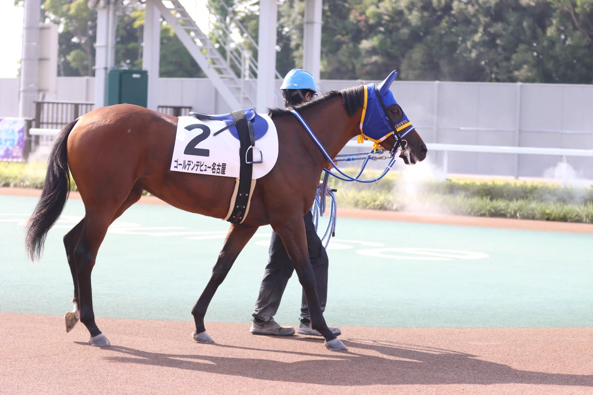 金シャチけいばNAGOYA ＠名古屋競馬 on X: 