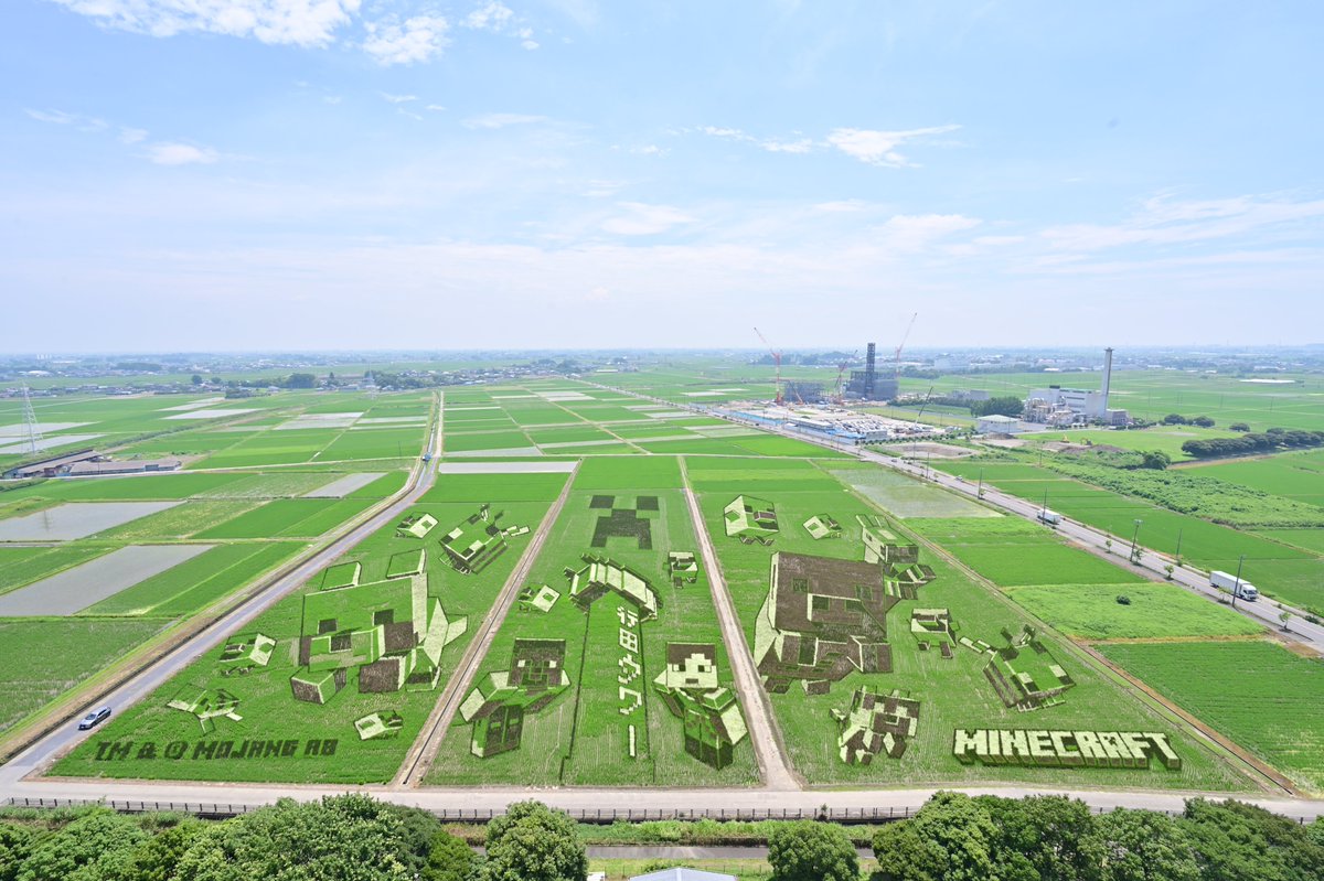 Gyoda_PR's tweet photo. 6月13日、14日に田んぼアート田植え参加者1,000名で植えた4種類の稲が順調に生育し、いよいよ見頃を迎えようとしています。
ぜひ、行田タワーからご鑑賞ください。
https://t.co/nYNeY2b8rs
#行田市 #田んぼアート #古代蓮の里 #行田タワー ＃マインクラフト
@minecraftjapan<https://t.co/ES02oFLXPa> https://t.co/XhPQwp88x1