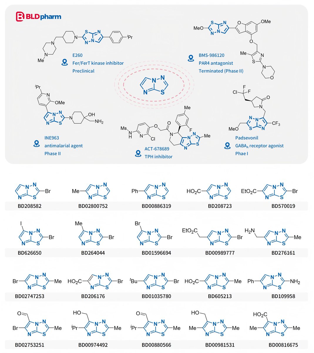 BldPharm's tweet photo. #BLDseries 🔥 Imidazo[2,1-b][1,3,4]thiadiazoles

Imidazo[2,1-b][1,3,4]thiadiazole is a fused bicyclic heteroaromatic scaffold composed of an imidazole ring condensed with a 1,3,4-thiadiazole moiety. Owing to its rigid, planar structure and the presence of multiple nitrogen and sulfur heteroatoms, this privileged scaffold exhibits favorable electronic properties and enables diverse intermolecular interactions with biological targets.
Consequently, imidazo[2,1-b][1,3,4]thiadiazole derivatives have attracted considerable interest in medicinal chemistry and have demonstrated broad pharmacological potential, including activities in the central nervous system, infectious diseases, cardiovascular disorders, and oncology.

Representative drug candidates containing this scaffold include:
💊 Padsevonil: GABAA receptor agonist (Phase I)
💊 ACT-678689: Tryptophan hydroxylase (TPH) inhibitor
💊 INE963: Antimalarial agent (Phase II)
💊 BMS-986120: PAR4 antagonist (terminated in Phase II)
💊 E260: Fer/FerT kinase inhibitor (preclinical)

Try @BldPharm's imidazo[2,1-b][1,3,4]thiadiazoles in your research!
🛒 https://t.co/N3xSSC9BpI
