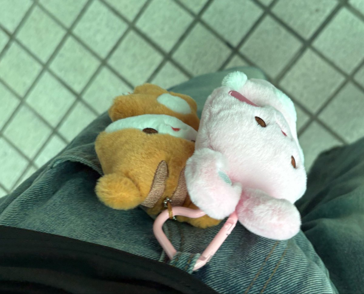 낙원🐰 (막M) tweet media