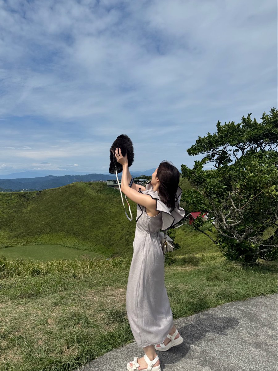 sisiomaru_inu's tweet photo. あまりの強風で黒いなにかになった犬を見て。 https://t.co/1tnLhxBwkB