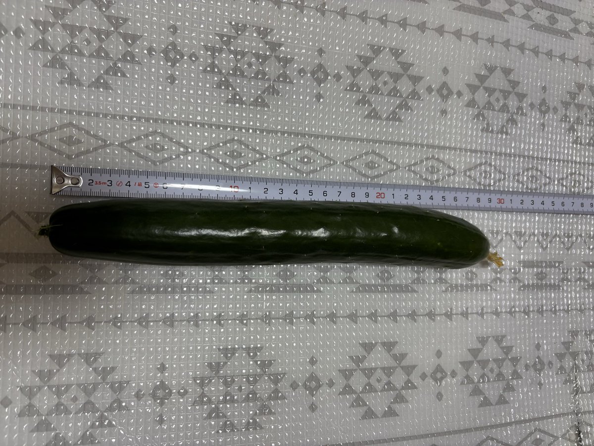 8caribou's tweet photo. 水やりと夜の収穫しました♪

🥒…今朝見つけてあげられなかったきゅうりくん💦測ってみたら28cmに😆明日見つけてたら30cm定規📏くらいまで大きくなってたかも😅
🍅…踏んづけちゃってグチャって💦ごめんね〜ときれいに洗って食べました☺️
🍆…長ナスは今年初収穫です♪柔らかい！

#家庭菜園 https://t.co/Dv6g3pdfk3