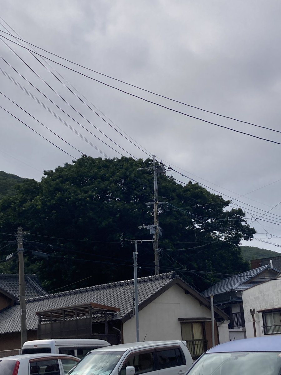 奈良男 tweet media