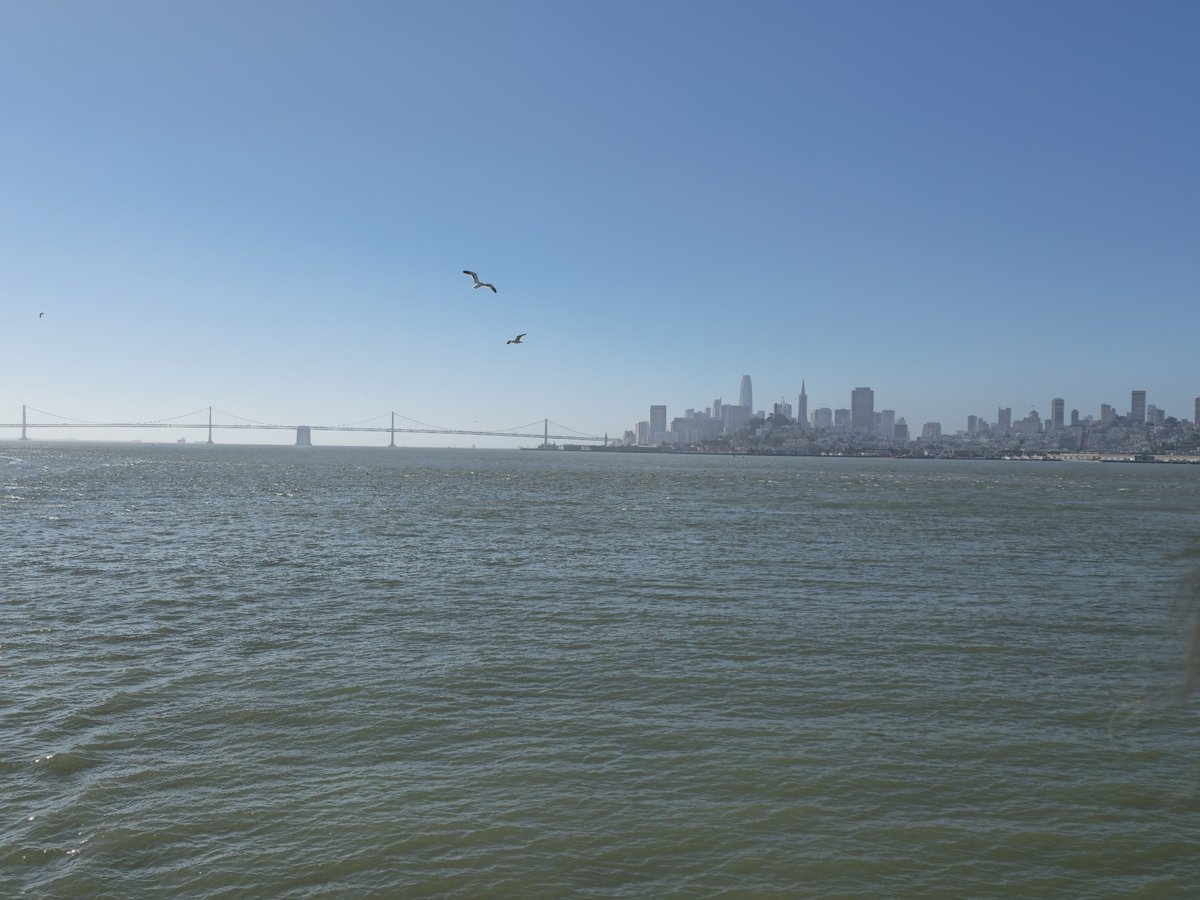 BeeSmoke_'s tweet photo. Day 10 / chill day in SF, saw Alcatraz, it was mid https://t.co/JyoAcuYBHf