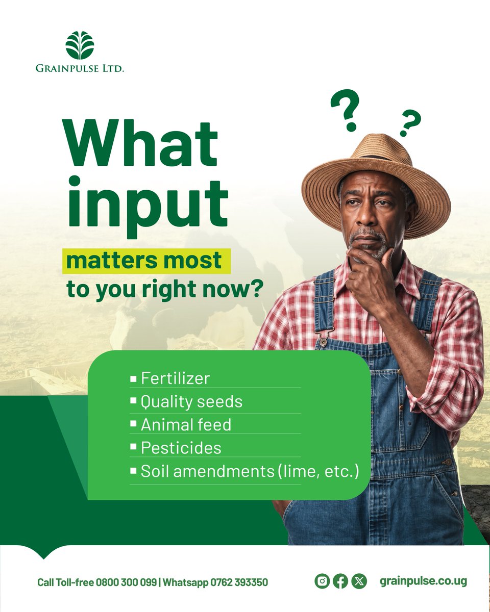 GrainpulseUG's tweet photo. What is your most important input right now? 🗳️
🔘 Fertilizer
🔘 Quality seeds
🔘 Animal feed
🔘 Pesticides
🔘 Soil amendments (lime, etc.)
#Grainpulse #FarmingPoll https://t.co/GvUmGVRpnR