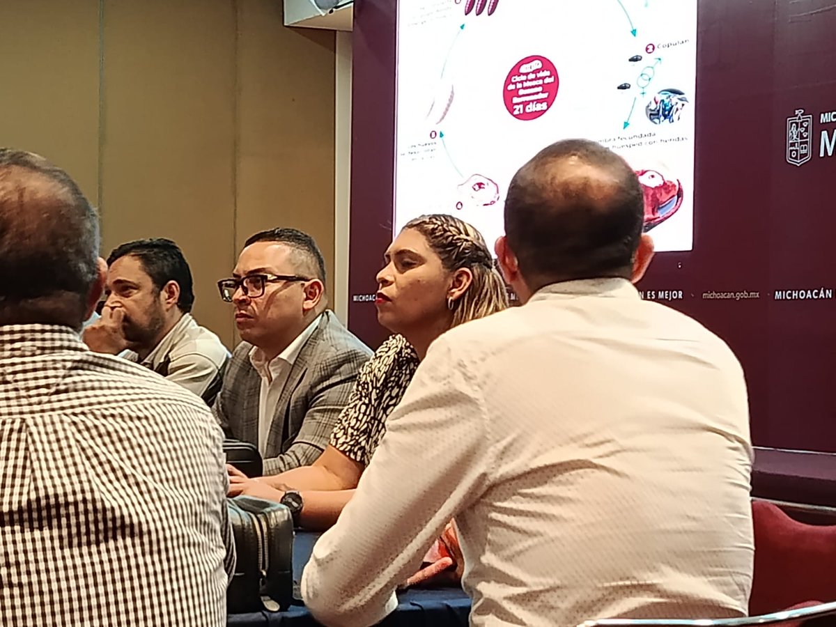 CoeprisM's tweet photo. Nos reunimos con ganaderos, autoridades del sector pecuario y la Secretaría de Salud estatal para establecer un frente común contra el gusano barrenador 🤝📷 y así proteger la salud de todos.  #SSM #Coepris #MichoacánEsMejor https://t.co/biebd1yYaB