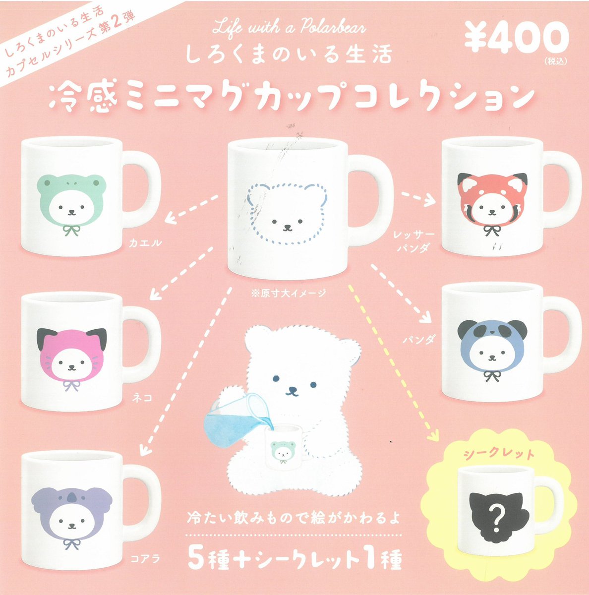 本日のスタッフのおすすめを紹介します🗣️ スタッフMRの本日の
