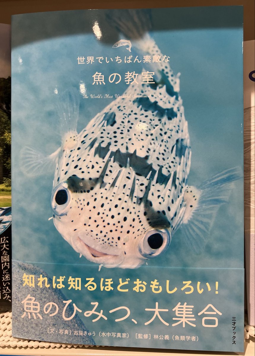 3F理工書】 著者古見きゅう『世界でいちばん素敵な魚の教室』が発売