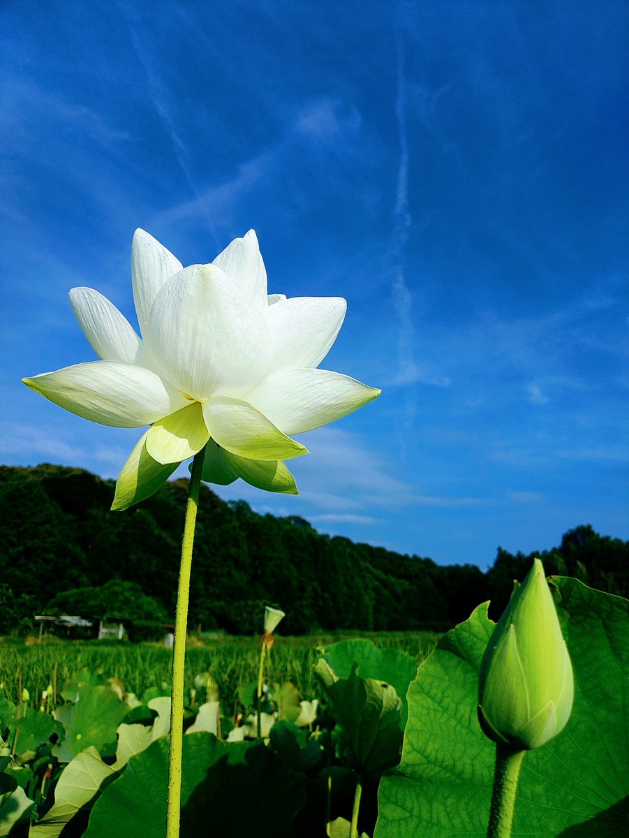 itiziku2013's tweet photo. https://t.co/eX6Yxo0pU7