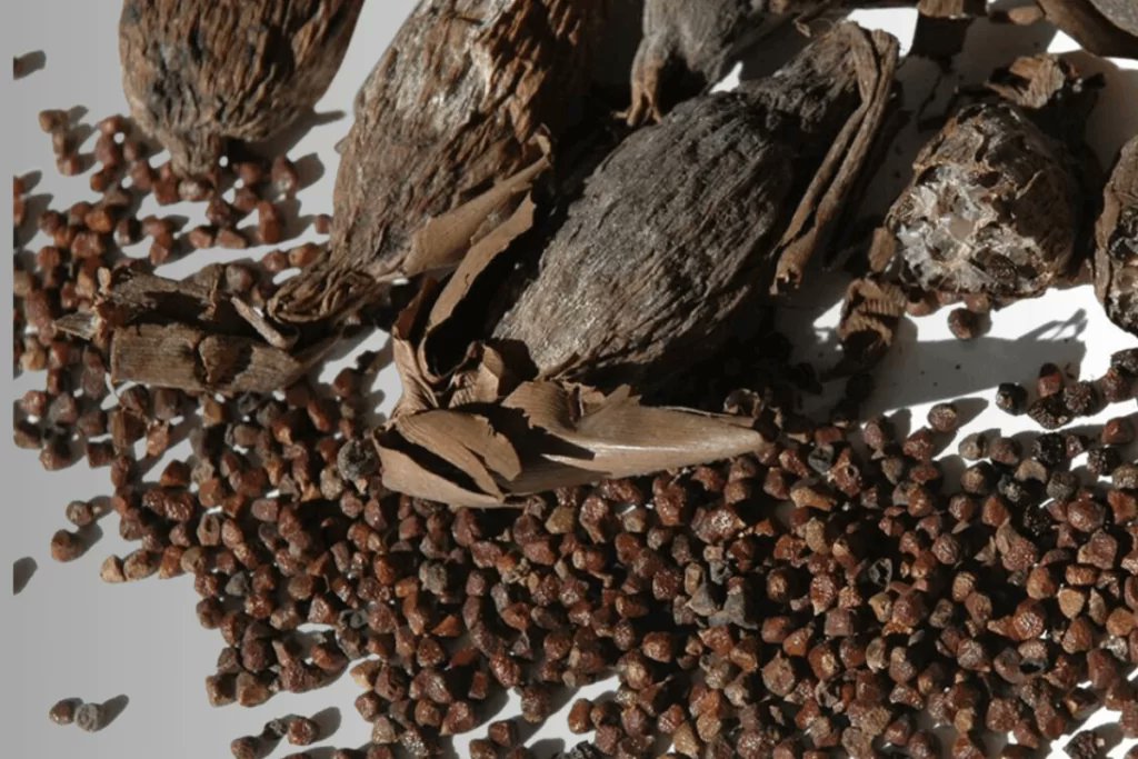 DedayoRoots's tweet photo. Our grandfathers had children into his 60s-80s.

He never saw a urologist.

He never took a testosterone supplement.

Here is what he ate and the science behind why it worked 🧵

BEST foods for testicular health 👇🏾

1. Atàárẹ̀ (alligator pepper) https://t.co/FEaq1yE2O9