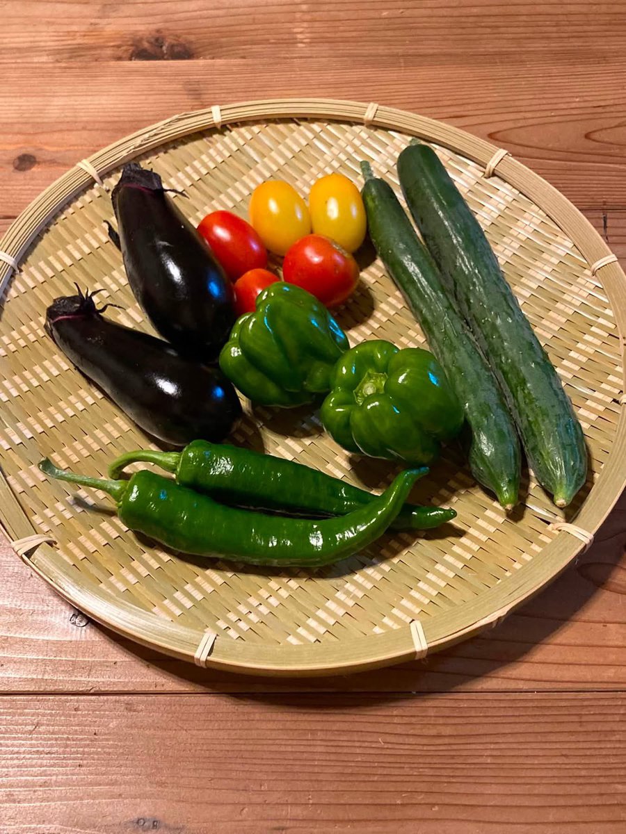 SAFE_vegi's tweet photo. 夏野菜の季節が始まりました。

予想より早く「カレーセット（じゃがいも・玉ねぎ・人参）」が終了し、
畑はいよいよ夏の景色へ。

採れ始めたばかりの野菜は、
つやつやで傷もなく、とてもきれいです。

太陽をたっぷり浴びた夏野菜を、
皆さんの食卓へ届けられる日が楽しみです。

#オーガニック https://t.co/YrahussY23
