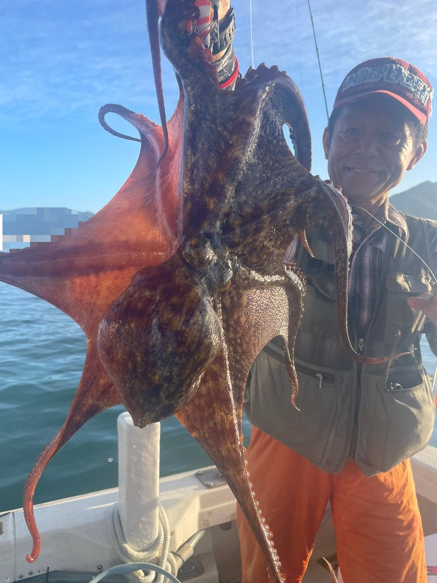 kamedamaru1098's tweet photo. タコが釣れまくり🐙
タコが熱い🐙
👇
https://t.co/uz4bbYJ3FH https://t.co/6YYOlls5K6