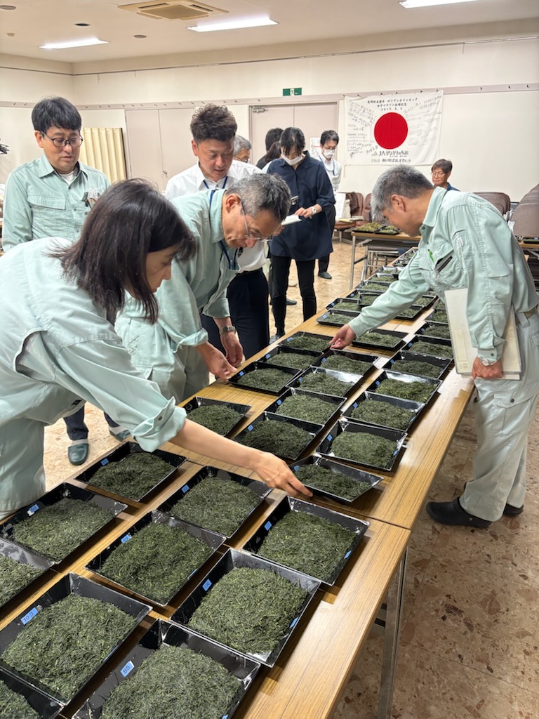 ashigaracya's tweet photo. 生産者の栽培・加工技術を競う品評会（神奈川県茶品評会審査会）が開催されました。
お茶の形、色、味など審査員が吟味し順位を付けます。
どれも優劣つけがたい良いお茶です。
#足柄茶
#お茶
#緑茶
#神奈川名産100選
#かながわブランド https://t.co/l1rBmqCKUs
