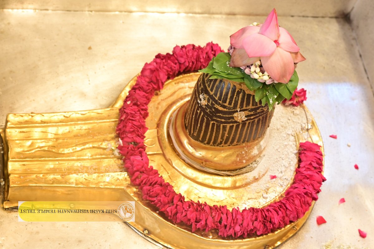 ShriVishwanath's tweet photo. श्री काशी विश्वनाथ जी की मध्यान्ह-भोग आरती I
#kashi #darshan #kashivishwanath #VishwanathDham #blessings https://t.co/vWwqvVhHTn