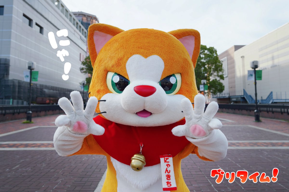 にゃんきち にゃん吉【公式】Nyankichi (@cat_nyankichi) / Posts / X
