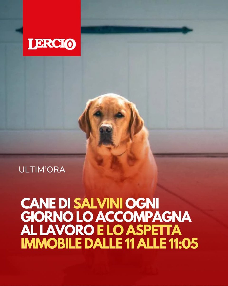 NotizieFrance's tweet photo. Cane di Salvini ogni giorno lo accompagna al lavoro e lo aspetta immobile dalle 11 alle 11:05
di Luciano Picchi
#ultimora #lercio #notizie #satira
Crediti dell'immagine sul sito https://t.co/NO51pyyHhy https://t.co/iDemrwG7bB