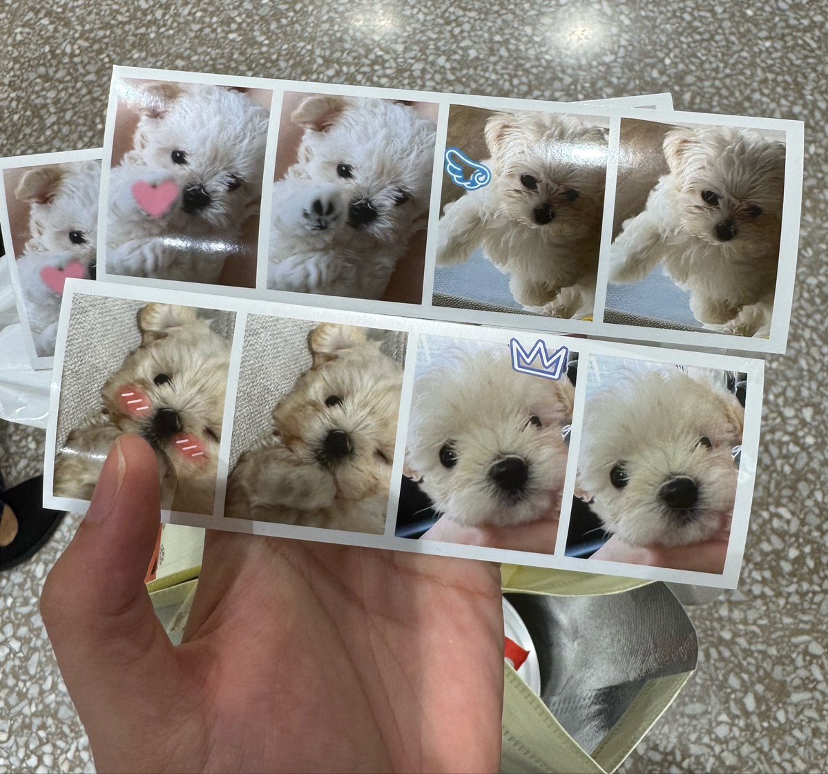 ___imyourdog's tweet photo. หลานยายน่ารักตุดๆ https://t.co/75HRR3zR6E