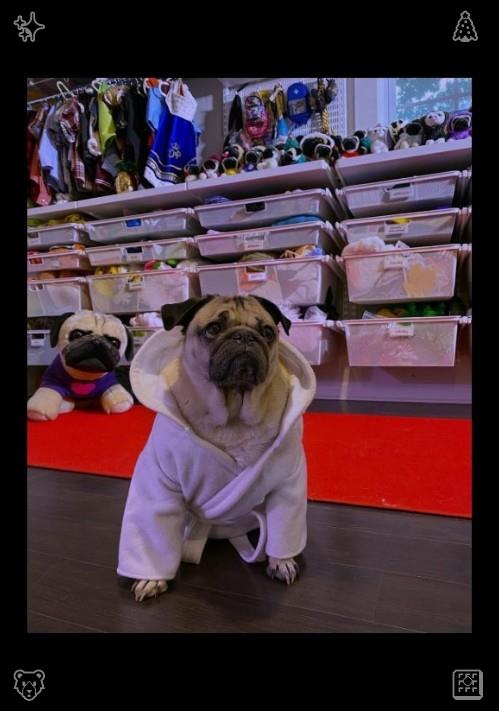 Angel_JaimesMH's tweet photo. 那天晚上，丈夫回家后，我们向他讲述了关于那面镜子、那张照片，以及我们要传给女儿的这份传承。他微笑着拥抱了我们，并说道：‘你们正在创造一些美好的、能够永恒留存的东西。' https://t.co/WI7WYDMu2j