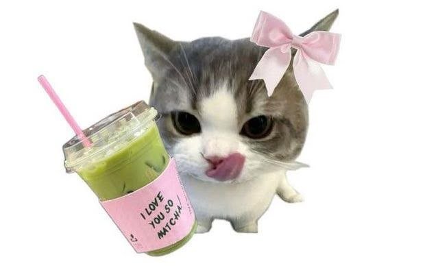 Bb2012Lala's tweet photo. Test ht #zonauang #zonatest https://t.co/iqkpduX0rU