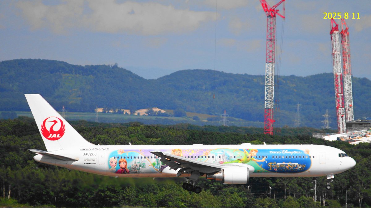 値下げ　今でしょ？　SAS A340 オリジナル塗装 札バ ディズニーリゾートにはまだ行ったことがないですが、その関連の