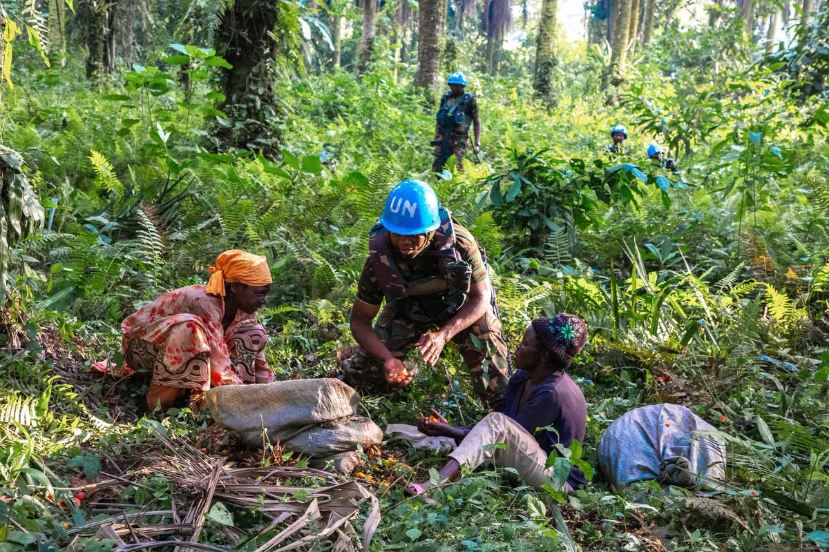 MONUSCO's tweet photo. Chaque jour, les Casques bleus #MONUSCO agissent sur terrain pour contribuer à la #protectiondescivils. Au Nord-Kivu et en Ituri, leurs patrouilles, actions de prévention et interventions contribuent à réduire les menaces contre les populations et à soutenir la stabilisation. https://t.co/yVWZXyFjgi