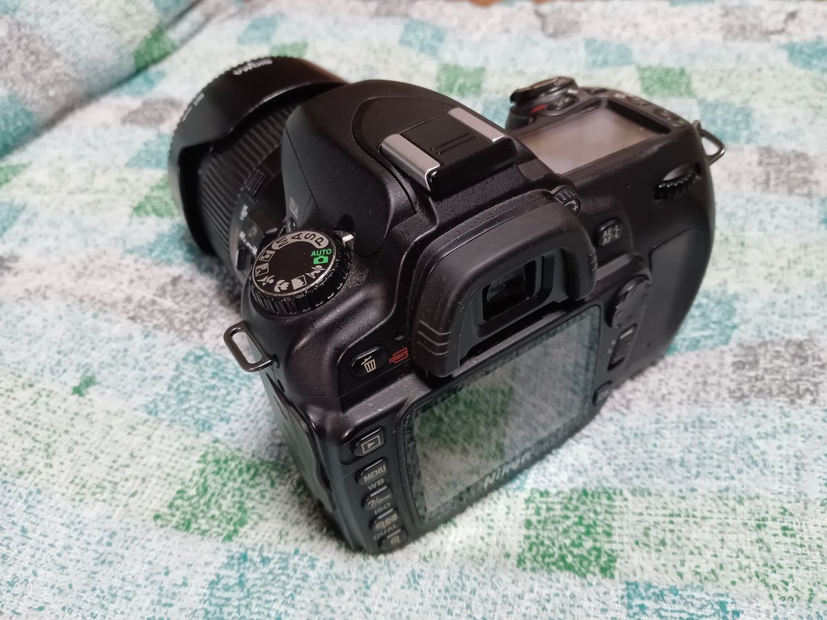 機種 ニコン D80 センサー APS-C型CCD 画素数 1000万画素 ヤフオク中古