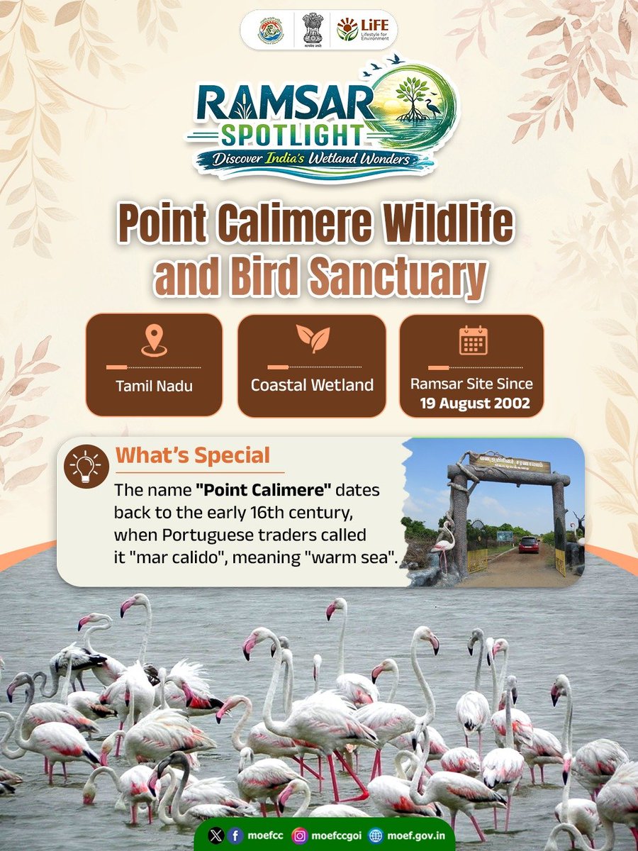 moefcc's tweet photo. Today's #RamsarSpotlight takes us to Point Calimere Wildlife and Bird Sanctuary in Tamil Nadu.

Over the centuries, the wetland has become home to places of worship that reflect the region's rich cultural heritage - from Ramar Padam, believed to bear the footprints of Lord Rama, to the historic Kuzhagar Temple, the Kodikkarai Velankanni Shrine, and the Avulaiganni Dargah, each drawing devotees through festivals and traditions celebrated across the year.

#WetlandsofIndia