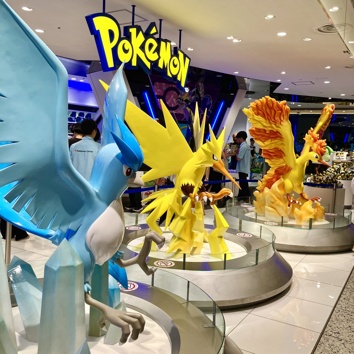 graphic_pyong's tweet photo. この3日間で見たポケモンたち https://t.co/9K4ZSCHbqT