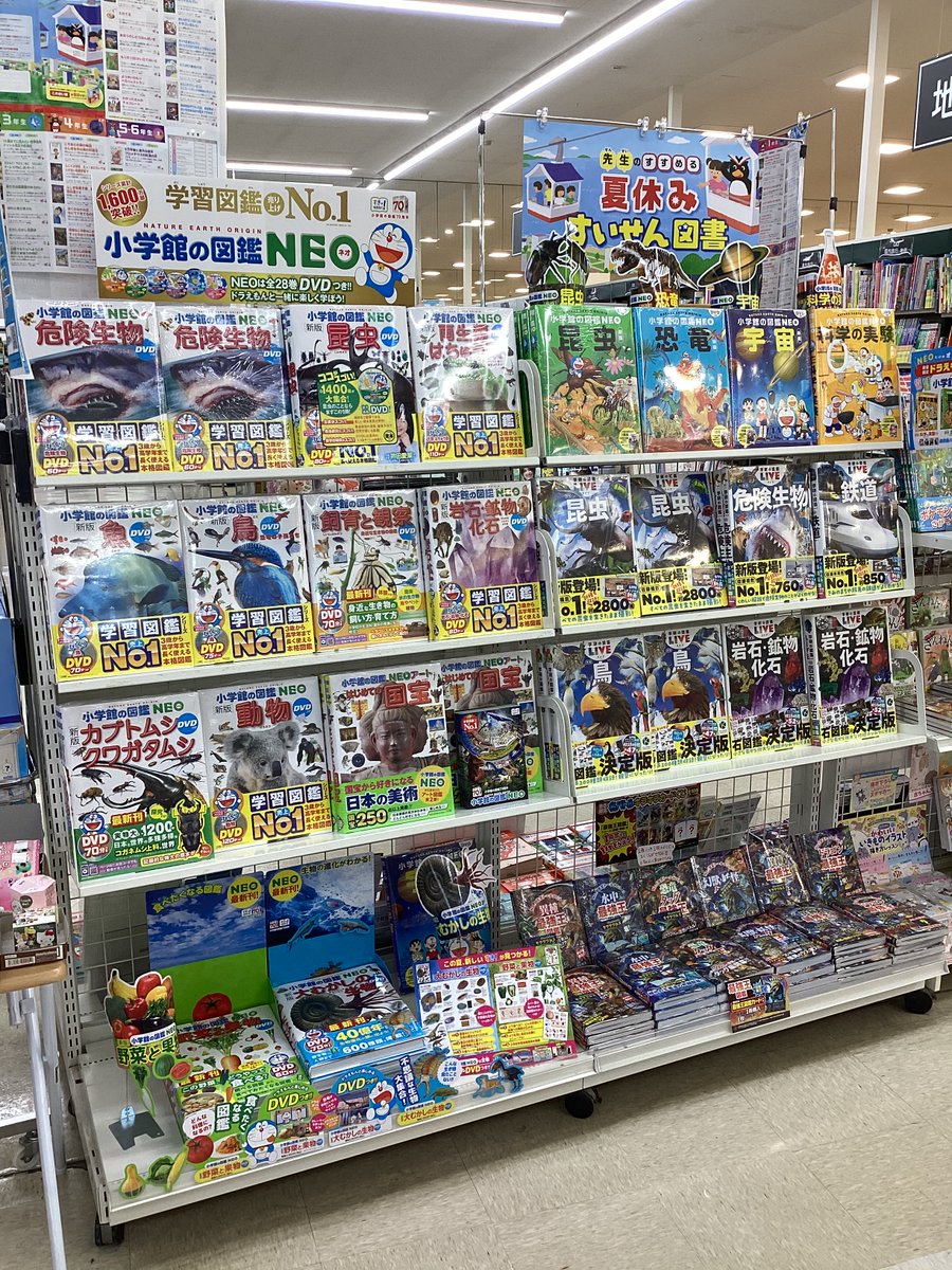 🐼🦉図鑑フェア開催中です🦖🦋 ラインナップは↓をご覧ください