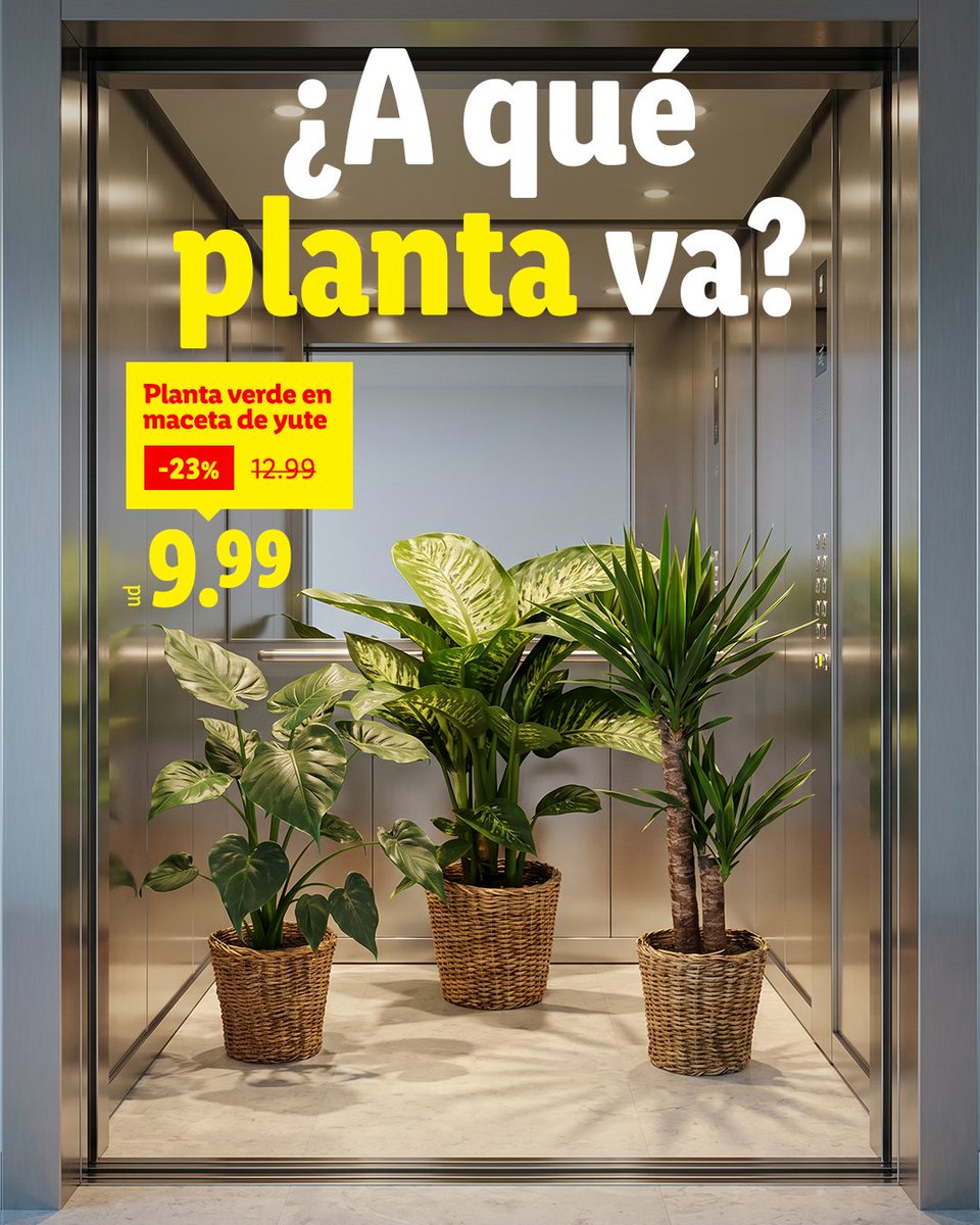 lidlespana's tweet photo. Van directas a subir el nivel de tu salón. https://t.co/8nsida3HcK