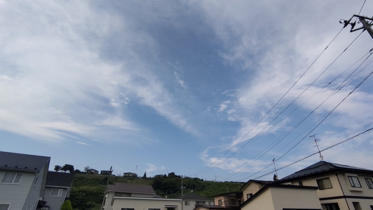 awashimas's tweet photo. こんばんは、今日もまた、暑い一日でした。近所の庭の花ですが、名前がわかりません。 https://t.co/lUbU0lsE01