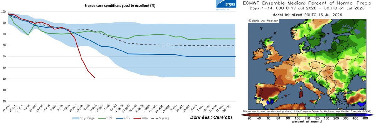 PortierArthur's tweet photo. 🌽 On se souviendra longtemps de cette récolte 2026 de maïs. La catastrophe est assurée  !

🕳️ Nouvelle chute des conditions de culture.

@agritel_argus https://t.co/aO0GqwyJXG