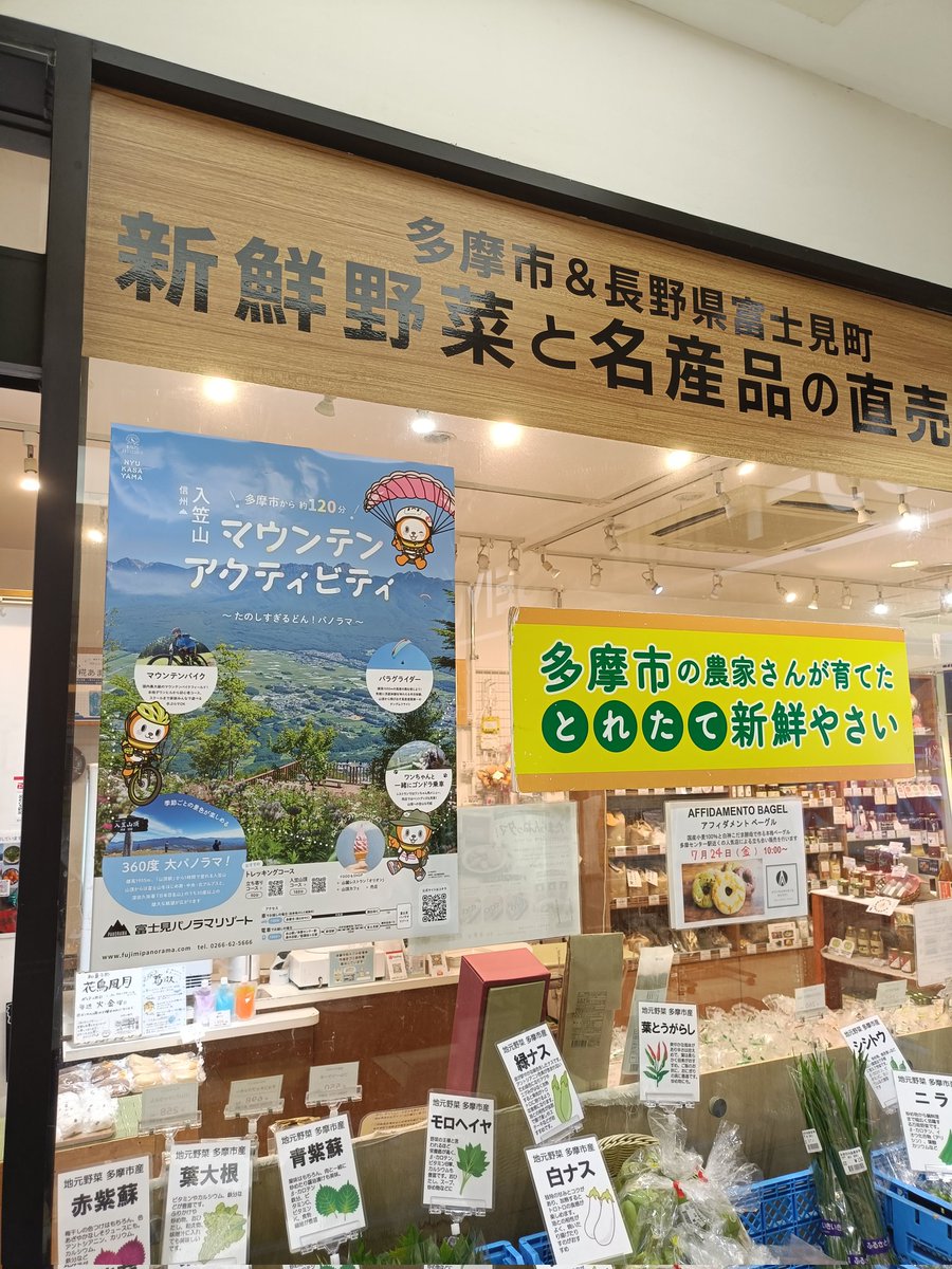 tama_nagadon's tweet photo. グリナード永山のPonte @tamafujimiPonte では、本日から富士見パノラマリゾート @fujimi_panorama ×永どんのPRポスターが貼られてるどん！

今年は富士見町との友好都市40周年でもあるから、勝手にPRキャラクターを名乗る永どんが応援していくどん！
この夏は、富士見パノラマリゾートへ！ https://t.co/CojO02FzN7