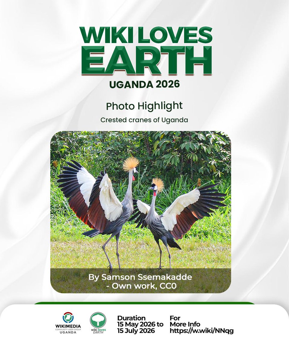WikimediaUganda's tweet photo. 📸 Photo Highlight | #WikiLovesEarth
https://t.co/EO1KsUzQDA
Some sights instantly remind us of home.
Every photo shared helps preserve Uganda's natural heritage and makes it accessible to the world through Wikimedia.
Join us: https://t.co/QyNWj8M02s
#WikimediaUganda https://t.co/uVT6LWEqAm